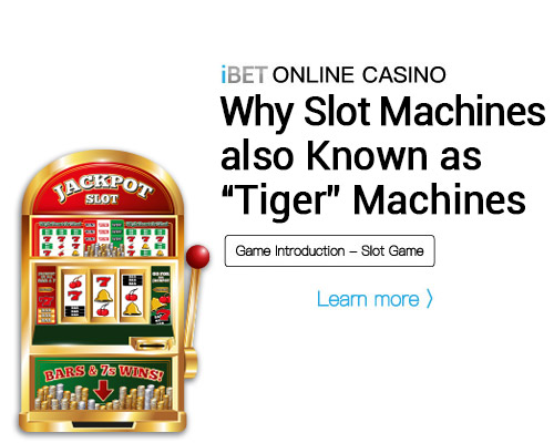 i8 (iBET)-Online-Casino-Why-Slot-Machines-(also)-Known-as-“Tiger”-Machine iBET-Online-Casino-Why-Slot-Machines-(also)-Known-as-“Tiger”-Machine